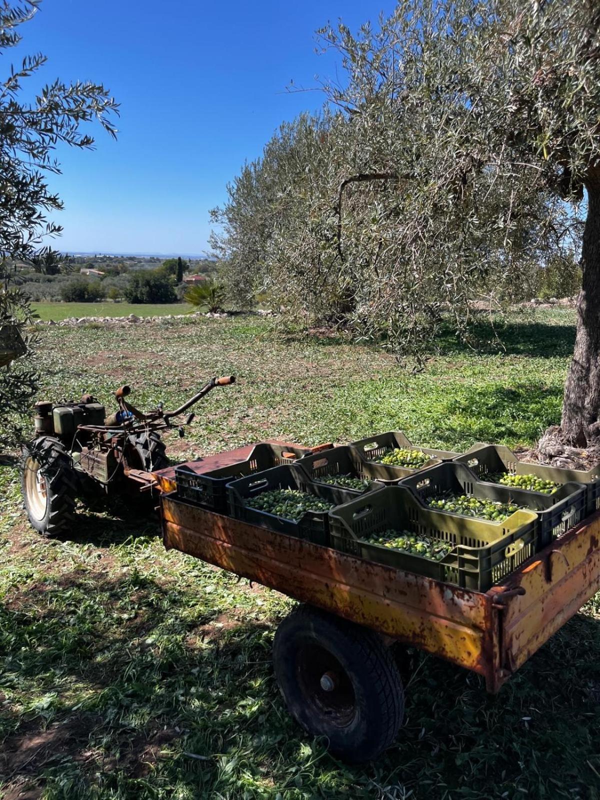 La Bella Vita Agriturismo Chiaramonte Gulfi Eksteriør billede